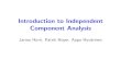 Introduction to Independent Component Analysiscsatol/gep_tan/ICA_HUT.pdfIntroduction to Independent Component Analysis Jarmo Hurri, Patrik Hoyer, Aapo Hyv¨arinen 1 Course timetable