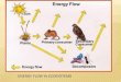 ENERGY FLOW IN ECOSYSTEMS - inetTeacher.com...ENERGY FLOW IN ECOSYSTEMS TOPICS LIST ENERGY FROM THE SUN PERCENTAGES ALBEDO EFFECT PHOTOSYNTHESIS and CELLULAR RESPIRATION THERMODYNAMICS
