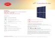 Canadian Solar-Datasheet- HiKu CS3W-P High efficiency ......CANADIAN SOLAR INC. is committed to providing high quality solar products, solar system solutions and services to custo-mers