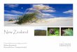 New Zealand - rebecca-recommends.com · New Zealand offers outstanding experiences – including wilderness fly fishing and deep-sea game fishing, hiking and helicopter adventures,