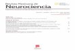 Revista Mexicana de Neurociencia · 80 Nervous system and COVID-19 Bertha Torres-Oliva 1, Karina Vélez-Jiménez2, Idelfonso Rodríguez-Leyva3, and Lorena Guerrero-Torres4* 1University