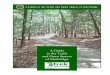 A Guide to the Trails and Open Spaces of Sturbridge...through a mature oak, hemlock, and pine forest with an understory of mountain laurel. The trail then drops The trail then drops