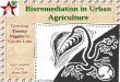 Bioremediation in Urban Agriculturearchives.evergreen.edu/webpages/curricular/2005... · • Mycoremediation – mycodegradation – hyperaccumulation. Mycodegradation of Organic