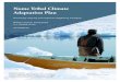 Nome Tribal Climate Adaptation Plan - Nome Eskimo Community. Tribal_Resources... · Nome Eskimo Community (NEC) represents the Alaska Native population in Nome. NEC’s Strategic