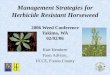 Management Strategies for Herbicide Resistant Horseweed · Russian thistle Roadside ALS (Glean, Telar, Oust) 1994 Wild oat Barley, Wheat Pyrazoliums (Avenge) 1996 Redstem Rice ALS