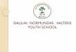 SIAULIAI NORMUNDAS VALTERIS YOUTH SCHOOL · The first Youth school in Lithuania was established in 1993. Currently, Lithuania has 24 youth schools. Youth schools exist in all European