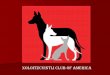XOLOITZCUINTLI CLUB OF AMERICA · The Xolo is an ancient, natural breed, molded by evolution rather than selective breeding. A Xolo is moderate in all aspects of type and conformation,