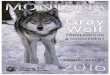 This is a cooperative effort by Montana Fish, Wildlife ... · During 2016 the Montana Livestock Loss Board paid $59,578 for livestock that were confirmed by WS as killed by wolves