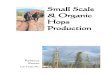 Small Scale & Organic Hops Production · Books & Magazines 36 Websites 36 Rhizomes 37 Small-Scale and Organic Hops Production 1 ... any given variety – for these are what make the