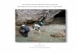Porcupine*Marine*Natural*History*Society* Intertidal ...socsercq.sark.gg/Marine Biology/Gouliot Caves... · Gouliot'Caves'Intertidal'survey'2012'''''Porcupine'Marine'Natural'History'Society'!