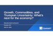 Growth, Commodities, and Trumpian Uncertainty: What’s next ...mineralsnorth.ca/images/uploads/pdf/BC_Minerals... · Source: IMF, World Bank, Central 1.-2 0 2 4 6 8 10 12 14 16 2000