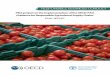 Responsible business conduct - Project on the …Responsible business conduct Pilot project on the implementation of the OECD-FAO Guidance for Responsible Agricultural Supply Chains