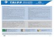 Publications - TRIPPtripp.iitd.ernet.in/assets/publication/vol3no1.pdf · VOL 3. NO.1 SUMMER 2006 Publications Research & Consultancy Projects The Transportation Research and Injury