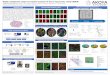 Highly multiplexed single-cell spatial analysis of tissue ......Image analysis revealed critical markers that are involved in tumorigenesis (LIF,TFAM), Tumor invasion (E-cadherin ),