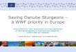 Saving Danube Sturgeons a WWF priority in Europe · Bulgaria • 6 questionnaires with decision makers and 4 with companies that breed sturgeons or trade/process/export caviar in
