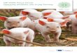 EIP-AGRI Focus Group Reducing antibiotic use in pig farming · General enhancement of animal health and welfare to reduce the need for antibiotic use. This concerns ... Changing attitudes,