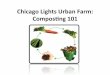 ChicagoLightsUrbanFarm: Composng101(€¦ · Go through the steps of planting a seed: 1.Fill contain halfway with compost. 2.Place seeds on top of compost. 3.Add a few drops of water