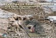 Hypogene Speleogenesis - SAUDICAVESsaudicaves.com/hypogene/hypojor.pdf · 2009-05-26 · HYPOGENE KARSTIFICATION IN SAUDI ARABIA (LAYLA LAKE SINKHOLES, AIN HEETH CAVE) 247 Stephan