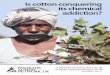 Is cotton conquering its chemical addiction? · 6 Case studies presented in this report clearly show that poor practices continue to exist in cotton production. Personal protective