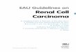 EAU Guidelines on Renal Cell Carcinoma - Uroweb · RENAL CELL CARCINOMA - LIMITED UPDATE MARCH 2016 5 1. INTRODUCTION 1.1 Aims and scope The European Association of Urology (EAU)