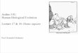 Anthro 101: Human Biological Evolution Lecture 17 & 18: Homo …feldmekj.weebly.com/uploads/2/6/0/1/26010947/_sp13_an101_lectur… · East ! • Neandertals ... • Tropical body
