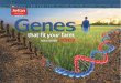 SeCan SeedGuide2018 WEST · 1-2 VG Not Rated Barker R2X 2425 Medium maturing RR2X, great disease package, great yield potential 109 1 0 G Semi-Tolerant Gray R2 2450 Bushy RR2Y plant