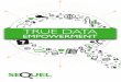SEQUEL - Soluzioni EDP...perform data analysis within minutes of installation. With SEQUEL you don’t need a meta-data layer, so: • There’s no need to set up a multidimensional