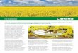 Canada - ISAAA.org · 31/01/2018  · Canada is one of the six “founder biotech crop countries,” having commercialized herbicide tolerant canola in 1996, the first year of commercialization