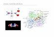 Amino Acid Metabolism - Wilson Labderekwilsonlab.ca/userfiles/files/3050_Week_9.pdfAspartate Asparagine Glutamate Glutamine Glutamate Synthase - Plants and lower organisms use a synthase