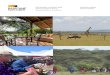 Basecamp Explorer Kenya / Capacity Building Basecamp ... · Foreword For the past two decades, Basecamp Explorer has been pioneering responsible tourism in Kenya’s Maasai Mara