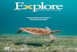 Sea Turtles Are Rebounding, But Much Work Remains · 2019-12-05 · engineering Dean Cammy Abernathy. “He remains firmly committed to the suc-cess of his alma mater and has been