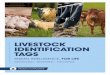 LIVESTOCK IDENTIFICATION TAGS - .GLOBAL · Use Tissue Sampling Tags (TST’s) to help eradicate Bovine Viral Diarrhoea (BVD) from your herd. Doing so will help to increase overall
