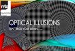 OPTICAL ILLUSIONS - mtghawkesbay.com · OPTICAL ILLUSIONS LESSON •This lesson plan can be used to introduce students to optical illusions. Students will discuss optical illusions,