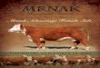MRNAK...Mrnak Advantage Female Sale Thursday, November 19, 2015 • 1 p.m. MRNAK Hereford Ranch Bowman, North Dakota Bowman auction Market • bowman, North Dakota — Offering —