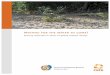 100514 Waiting for the water to come[1] - India, South Asia · Dr. Fabian Scholtes, ZEF Dr. Anna-Katharina Hornidge (Case study Indonesia), ZEF EDITOR: CARE DEUTSCHLAND-LUXEMBURG,