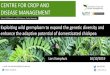 CENTRE FOR CROP AND DISEASE MANAGEMENT...e-mail: lars.kamphuis@curtin.edu.au . CENTRE FOR CROP AND . DISEASE MANAGEMENT . Lars Kamphuis 16/10/2019. Exploiting wild germplasm to expand