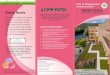 Informational Brochure GREEN ROOFS Green Roofs BLUE ROOFS ... · Green Walls “Green walls” is used to refer to all forms of vegetated wall surfaces. These include green façade