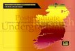 DEVELOPMENT EDUCATION in the TERTIARY SECTOR in the … · DEVELOPMENT EDUCATION in the TERTIARY SECTOR in the North and South of Ireland 4 Centre for Global Education The Centre