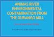 Animas River Environmental Contamination from the Durango …Durango Mill Site History •Located in Durango on west bank of Animas River and immediately southwest of the intersection