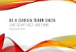 BE A DAHLIA TUBER SNOB · BE A DAHLIA TUBER SNOB JUST DON’T ACT LIKE ONE! Buying Dahlia Tubers. RECOMMENDATIONS FOR BUYING DAHLIA TUBERS 1. Buy from a reputable grower 2. Buy ADS