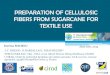 PREPARATION OF CELLULOSIC FIBERS FROM ... PREPARATION OF CELLULOSIC FIBERS FROM SUGARCANE FOR TEXTILE
