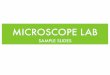 MICROSCOPE LAB SAMPLE SLIDES · MICROSCOPE LAB SAMPLE SLIDES Author: MacBook Created Date: 9/23/2019 4:41:12 PM 