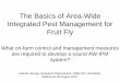 The Basics of Area-Wide Integrated Pest …...The Basics of Area-Wide Integrated Pest Management for Fruit Fly Andrew Jessup, Research Horticulturist, NSW DPI, Ourimbah Melbourne 28