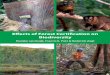 Effects of Forest Certification on Biodiversity · biodiversity of temperate, boreal, and tropical forests. This question is exciting, because of the important role assigned to forest