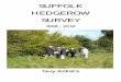 S SUUFFFFOOLLKK HHEEDDGGEERROOWW SSUURRVVEEYY … · 2019-03-20 · remarkable survey is that, in Suffolk, 20,179 landscape hedges ... assisted by 5 – 6 trainers on each occasion