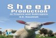 Sheep ProductionSheep Production · increased problems in animal husbandry. Sheep husbandry was given maximum emphasis during fourth-five year plan. Central Sheep and Wool Research