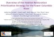 Overview of the Habitat Restoration Prioritization ... · Overview of the Habitat Restoration Prioritization Strategy for the lower Columbia River Catherine Corbett1, Chaeli Judd