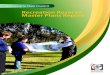 GSC Master Plans Final Report - Home - Gannawarra Shire ... · Gannawarra Shire Council Gannawarra Shire Master Plan Project GSC Master Plans Final Report.doc Page 3 1.5. Master Planning