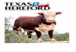 The Official Publication of the Texas Hereford Association April …texashereford.org/pdf/2013/April_current.pdf · REMITALL ONLINE 122L [CHB,SOD,DLF,HYF,IEF] DM BR SOONER [CHB,DLF,IEF]