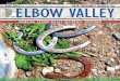 your ELBOW VALLEYYOUR COMMUNITY NEWSLETTER€¦ · New Moon July 8 First Quarter July 15 Full Moon July 22 Last Quarter ... One of world’s largest freshwater lakes with 14,000+